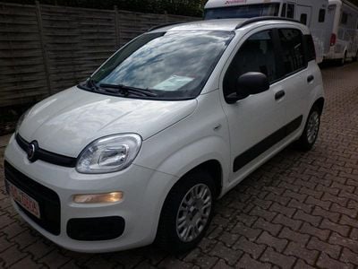 Usata Fiat Panda 69 CV (50 kW) 2020 Bianco Utilitaria