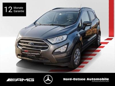 Gebraucht Ford Ecosport 125 PS (91 kW) 2019 Metallic SUV