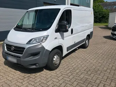 Gebraucht Fiat Ducato 2017 Weiß Van