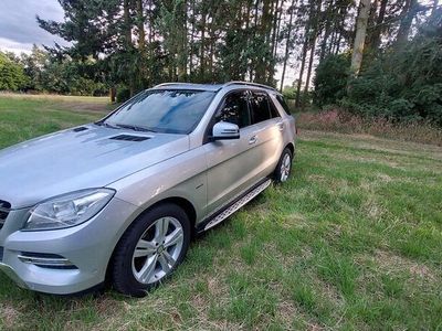 Mercedes ML250