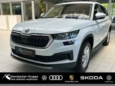 Gebraucht Skoda Kodiaq Ambition 150 PS (110 kW) 2023 (moonweiss metallic) SUV