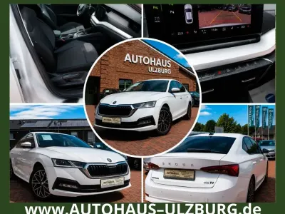 Gebraucht Skoda Octavia Ambition 150 PS (110 kW) 2022 Weiß Limousine