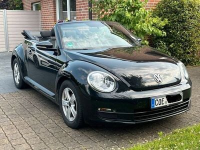 VW Beetle