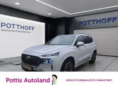Gebraucht Hyundai Santa Fe Signature 202 PS (148 kW) 2023 White cream / mic SUV