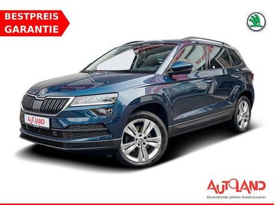 Blau Gebraucht 2019 Skoda Karoq SUV | 23.490 € (Etwas zu teuer)