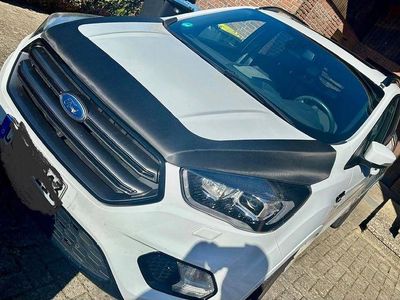 Brugt Ford Kuga ST-Line 179 HK (131 kW) 2019 Hvid SUV