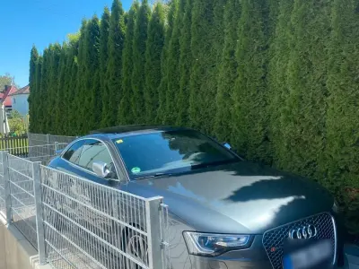 Gebraucht Audi RS5