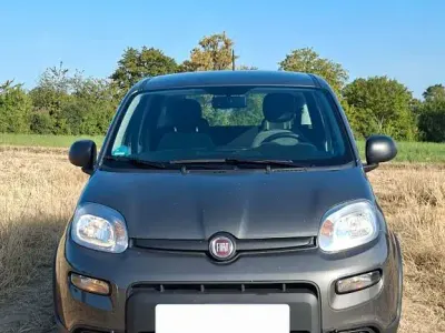 Gebraucht Fiat Panda 69 PS (50 kW) 2023 Grau Kleinwagen