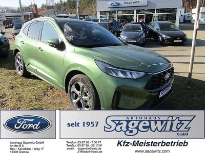 Gebraucht Ford Kuga ST-Line 186 PS (136 kW) 2025 Grün SUV