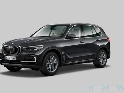 Gebraucht BMW X5 xLine 286 PS (210 kW) 2021 Grau SUV