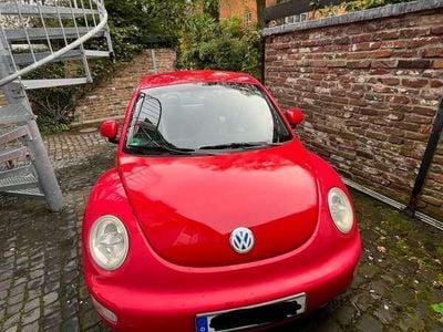 VW Beetle