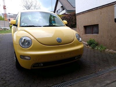 gebraucht VW Beetle 2 Jahre Tüv Klima Nichtraucher Sitzheizung guter Zustan