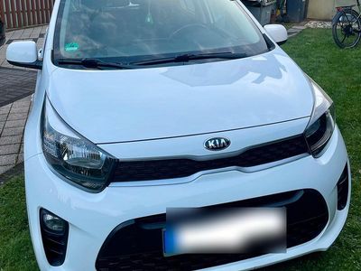 Gebraucht Kia Picanto 67 PS (49 kW) 2017 Weiß Kleinwagen