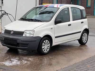 Usata Fiat Panda 54 CV (39 kW) 2009 Bianco Utilitaria