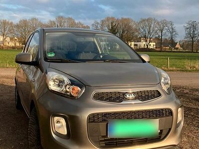 Gebraucht Kia Picanto 67 PS (49 kW) 2016 Grau Kleinwagen