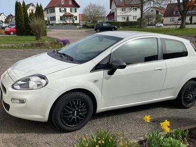 gebraucht Fiat Punto 1.2 8V YOUNG YOUNG