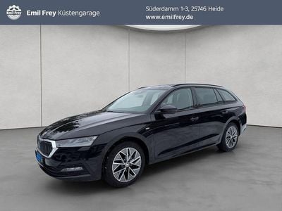 Gebraucht Skoda Octavia Ambition 150 PS (110 kW) 2023 Blackmagic perleffekt Kombi