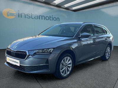 Neu Skoda Octavia 150 PS (110 kW) 2025 Grau Kombi