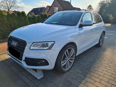 Usata Audi SQ5 Sport 360 CV (264 kW) 2015 Bianco SUV