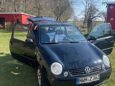 Usata VW Lupo Basis 60 CV (44 kW) 2000 Nero Utilitaria