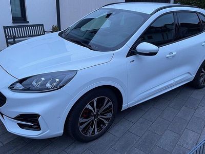 Gebraucht Ford Kuga ST-Line 151 PS (111 kW) 2024 Weiß SUV