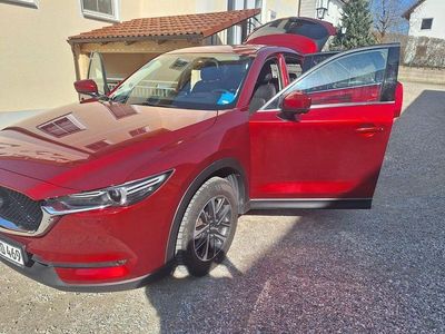 Gebraucht Mazda CX-5 Sports-Line 175 PS (128 kW) 2017 Rot SUV