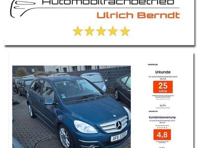 Blau Gebraucht 2010 Mercedes B160 Van / Kleinbus | 6.250 € (Etwas zu teuer)