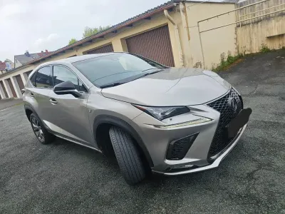 Gebraucht Lexus NX300h E-FOUR F-Sport 197 PS (144 kW) 2018 Grau SUV