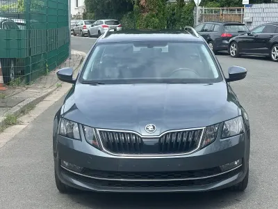Gebraucht Skoda Octavia Style 150 PS (110 kW) 2019 Grau Kombi