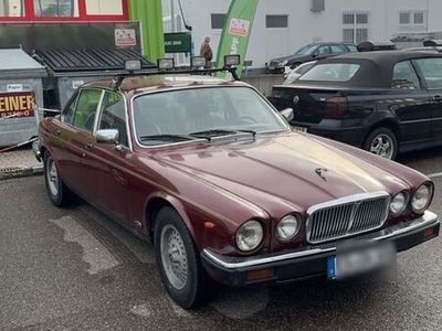 gebraucht Jaguar XJ6 