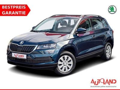 Blau Gebraucht 2019 Skoda Karoq Active SUV | 16.990 € (Fairer Preis)