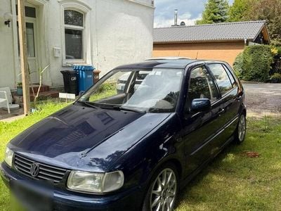 VW Polo