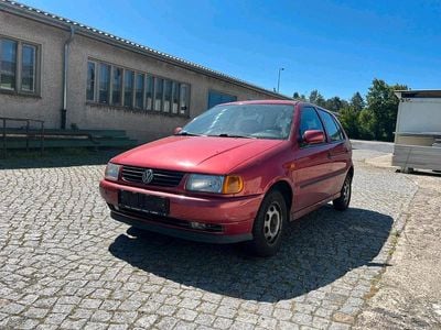 VW Polo