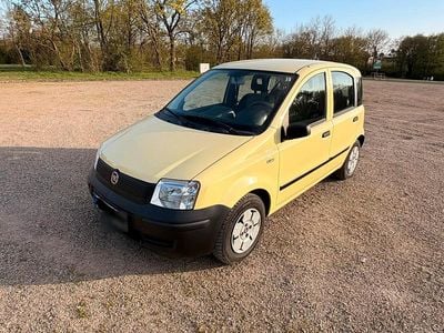 Usata Fiat Panda 60 CV (44 kW) 2009 Giallo Utilitaria