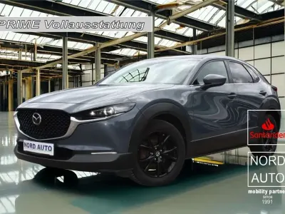 Gebraucht Mazda CX-30 186 PS (136 kW) 2021 Grau SUV