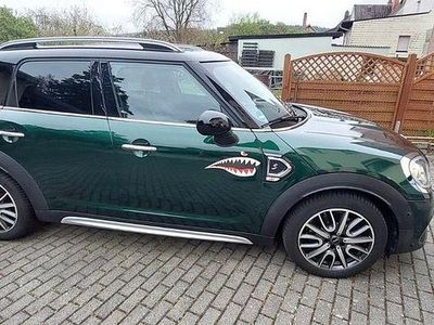 Gebraucht Mini John Cooper Works Countryman 190 PS (139 kW) 2017 Grün SUV