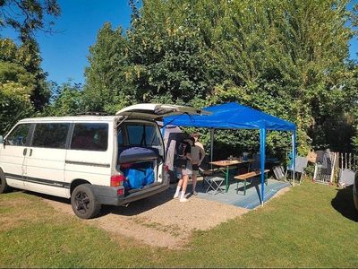 VW T4