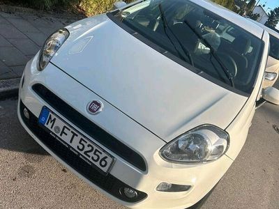 gebraucht Fiat Punto Weiß