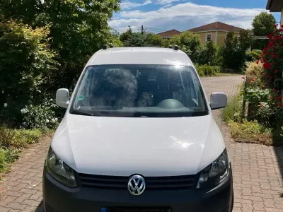 Gebraucht VW Caddy 86 PS (63 kW) 2014 Weiß Van / Kleinbus