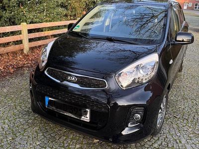 Gebraucht Kia Picanto 66 PS (48 kW) 2015 Schwarz Kleinwagen