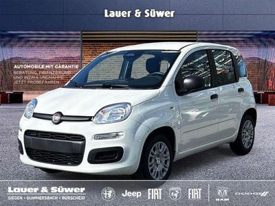 Weiß Neu 2025 Fiat Panda Kleinwagen | 13.980 € (Fairer Preis)