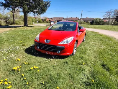 Gebraucht Peugeot 307 CC 140 PS (102 kW) 2006 Rot Cabrio