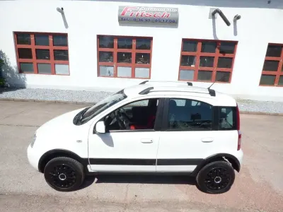 Gebraucht Fiat Panda 4x4