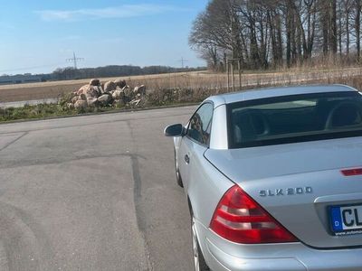 gebraucht Mercedes SLK200 