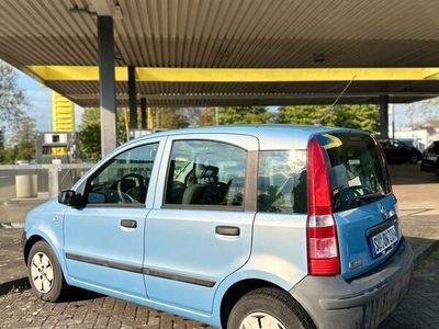 gebraucht Fiat Panda 2009