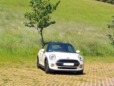 Gebraucht Mini One Cabriolet 102 PS (75 kW) 2016 Weiß Cabrio