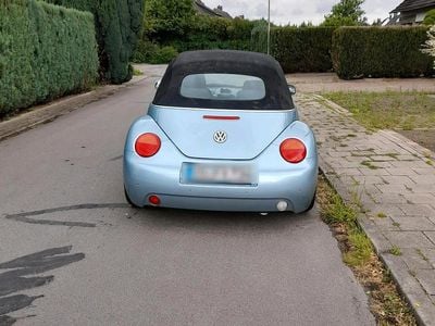 VW Beetle