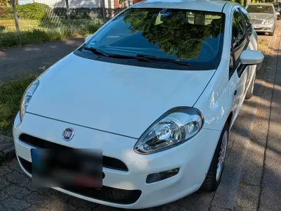 Usata Fiat Punto 69 CV (50 kW) 2014 Bianco Utilitaria