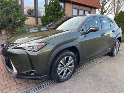 Lexus UX 300e