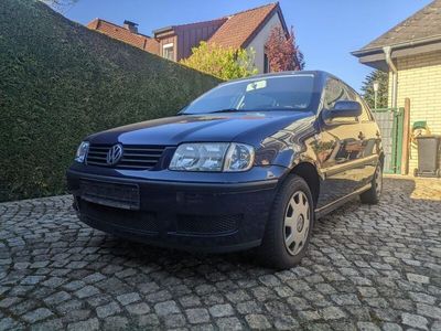 VW Polo